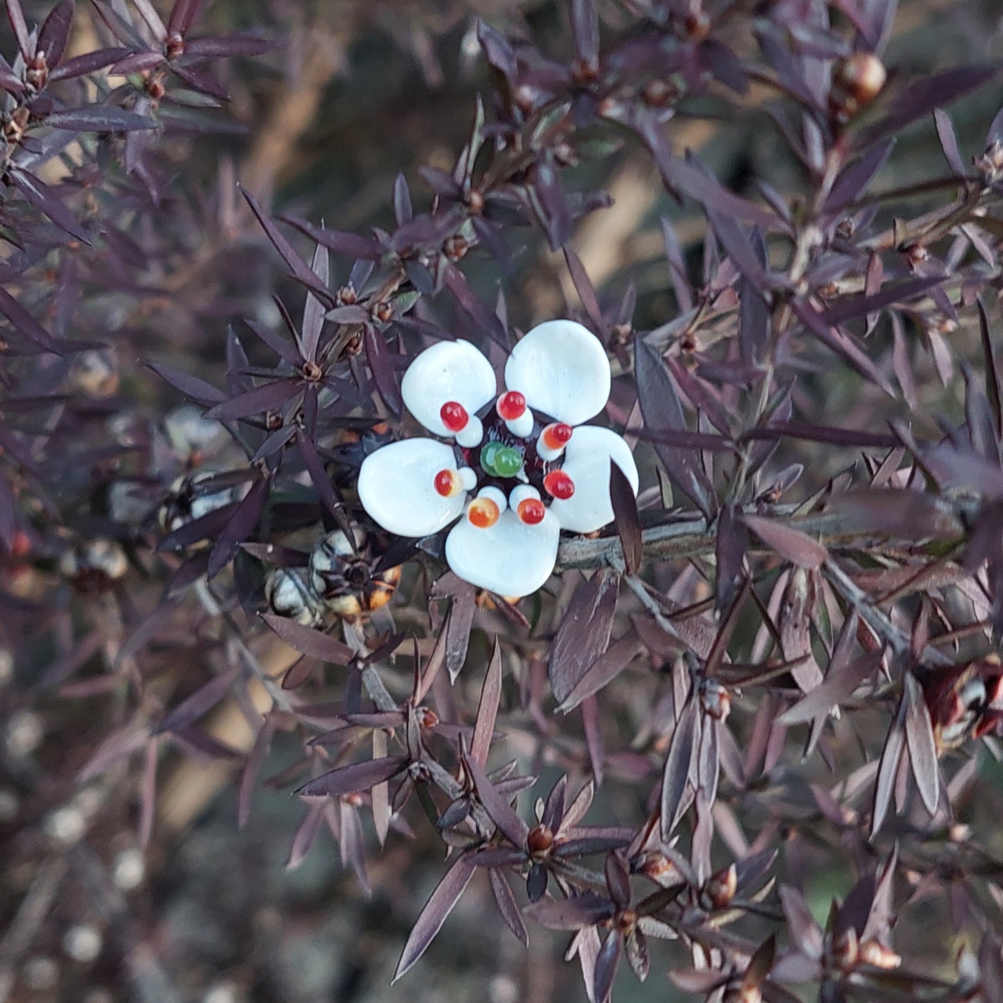 Glass Art - Native Flora: Small White Manuka Bouquet