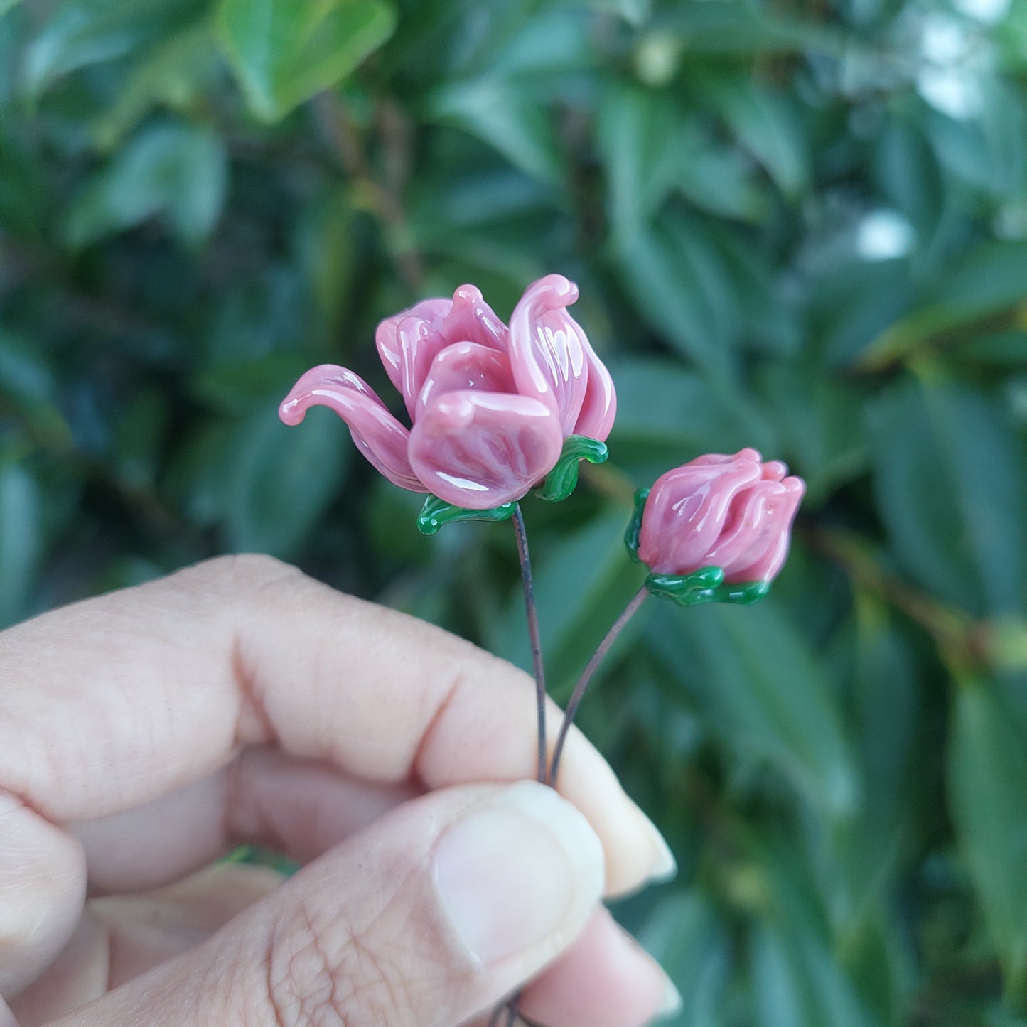 Glass Art - Magnolia Duo