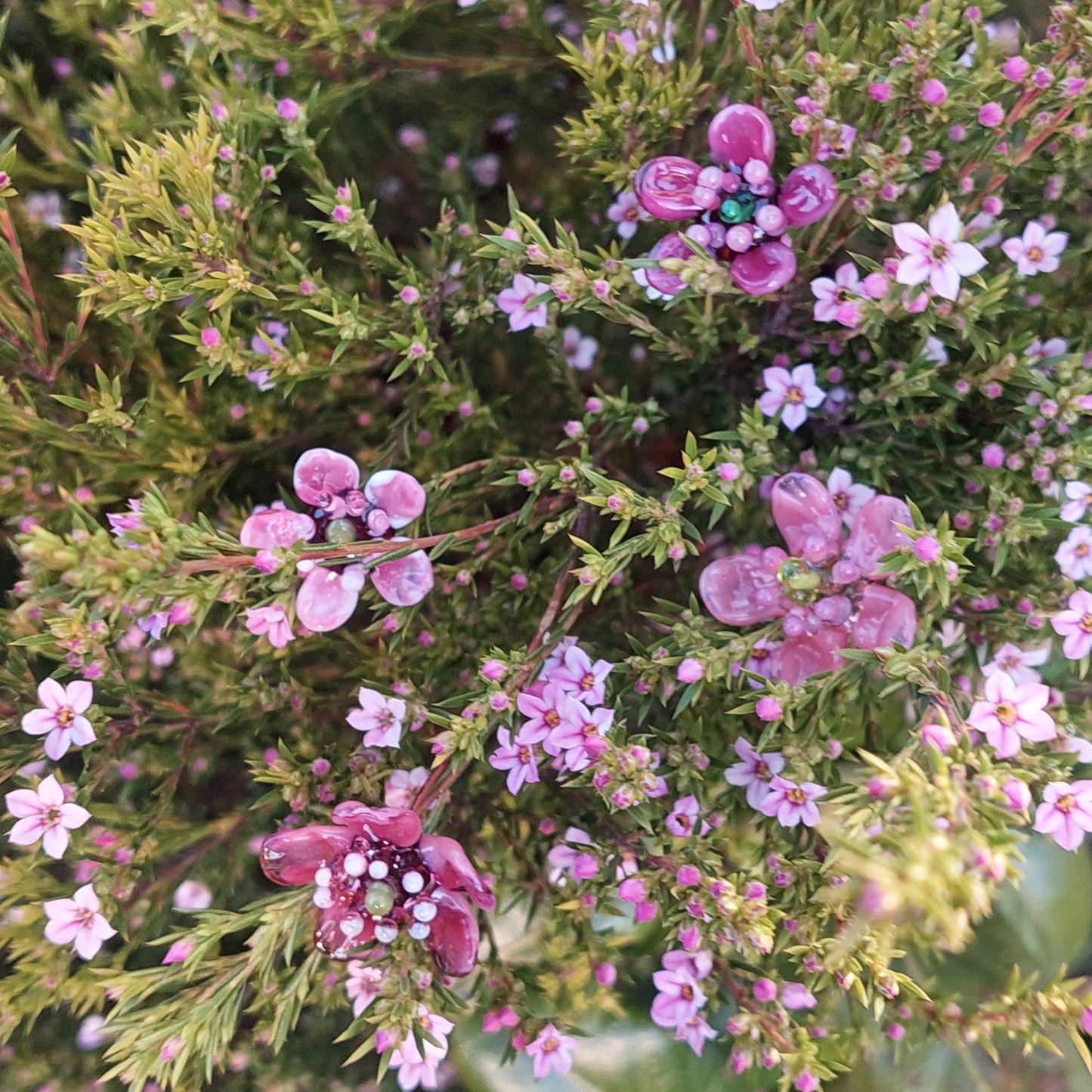 Glass Art - Native Flora: Midi Pink Manuka Bouquet