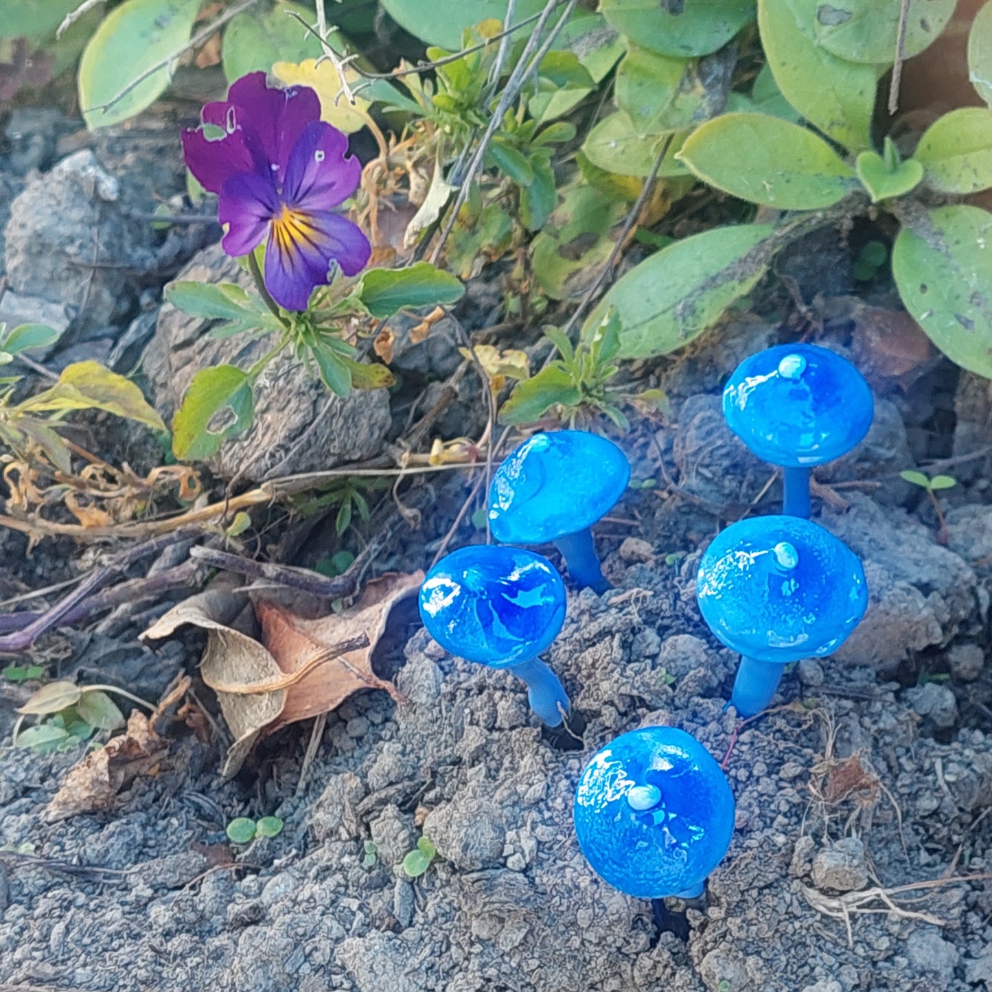 Glass Art - Mini Fungi: Werewere Kōkako (Entoloma hochstetteri)