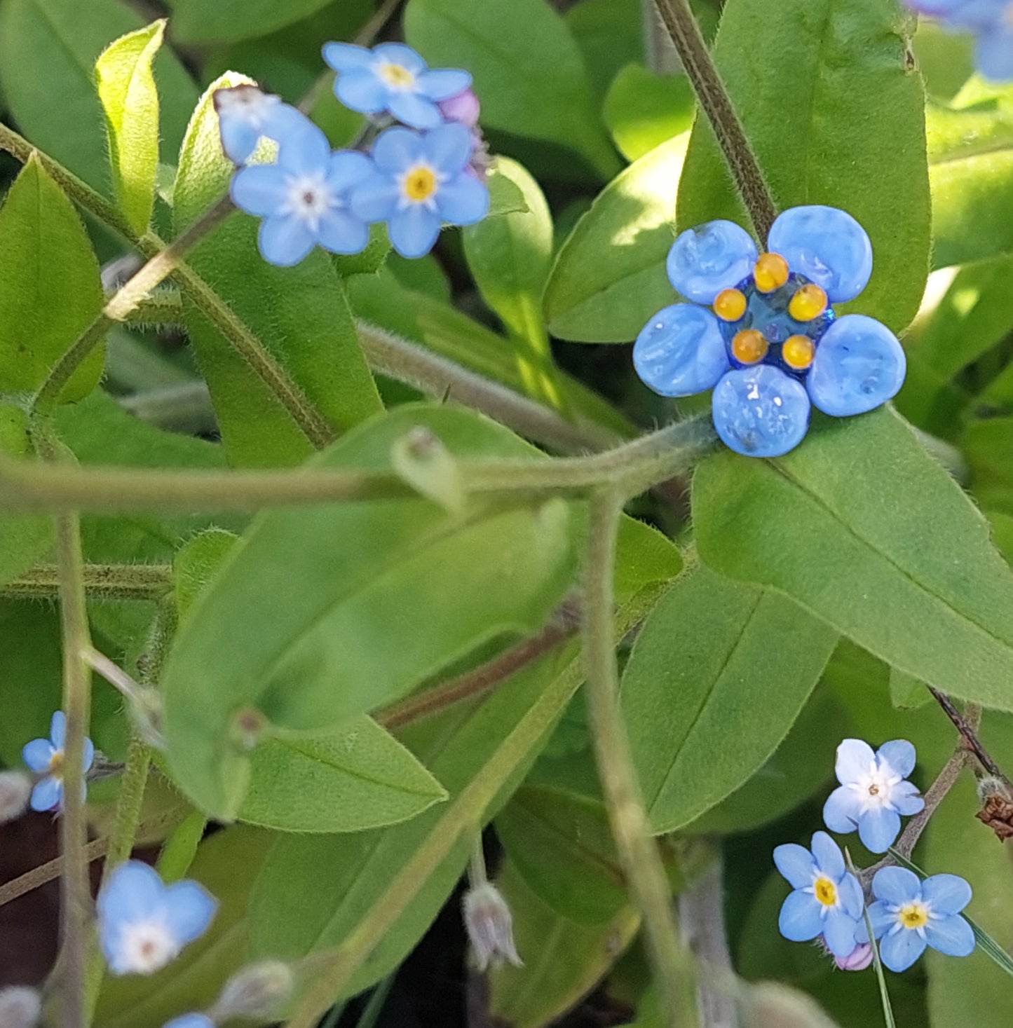 Glass Art Forget Me Nots - Tiny Bouquet