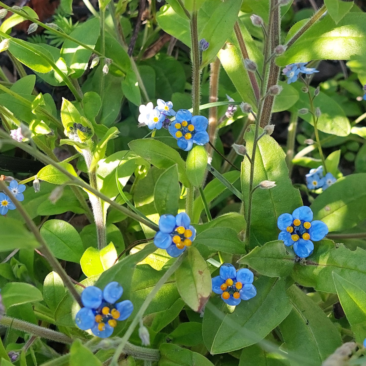 Glass Art Forget Me Nots - Tiny Bouquet